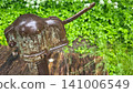 Vintage Rusty Iron Water Pump Mechanism Close-up 141006549