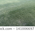 Lawn 141006697