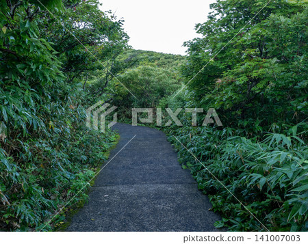 A green valley with clear water flowing through it A green valley with clear water flowing through it 141007003