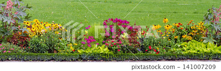 flower bed of a baroque garden flower bed of a baroque garden 141007209