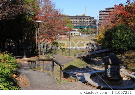 Autumn at Shimizu-zaka Park and along the Saikyo Line (Kita Ward, Tokyo) Autumn at Shimizu-zaka Park and along the Saikyo Line (Kita Ward, Tokyo) 141007231