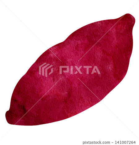 Watercolor-style illustration of a sweet potato Watercolor-style illustration of a sweet potato 141007264