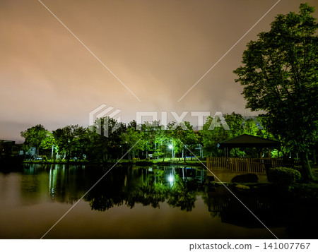 Trees in a quiet park, gently illuminated by streetlights. 141007767