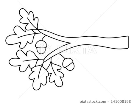 Vector black and white cartoon oak twig icon. Forest or woodland tree branch with acorns and leaves. Outline plant illustration. Line greenery picture, coloring page isolated on white background Vector black and white cartoon oak twig icon. Forest or woodland tree branch with acorns and leaves. Outline plant illustration. Line greenery picture, coloring page isolated on white background 141008198