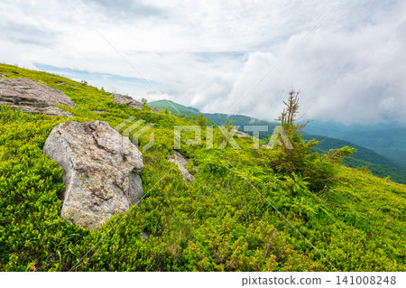 green landscape of mountain in summer. view of rock among grass on the hillside. travel background under a cloudy sky. carpathian mountain scenery with rolling hills green landscape of mountain in summer. view of rock among grass on the hillside. travel background under a cloudy sky. carpathian mountain scenery with rolling hills 141008248