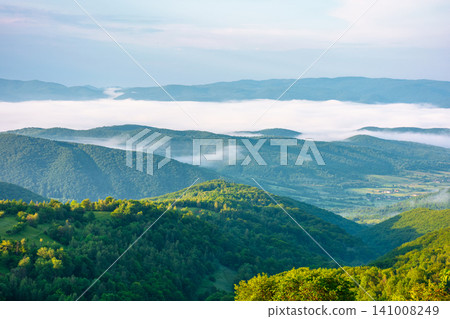 carpathian mountain landscape on a foggy morning. outdoor adventure with stunning view in morning light. mountainous countryside of ukraine in summer. rolling hills. scenic travel background carpathian mountain landscape on a foggy morning. outdoor adventure with stunning view in morning light. mountainous countryside of ukraine in summer. rolling hills. scenic travel background 141008249