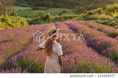 Woman Overlooking Scenic Rows in Lavender Field Woman Overlooking Scenic Rows in Lavender Field 141008477