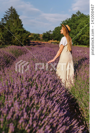 Woman In Straw Hat Walking through Lavender Field Woman In Straw Hat Walking through Lavender Field 141008487