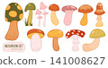 Vector forest design with mushroom illustration nature and autumn food isolated. Plant background set with fungi vector art and natural colorful drawing. Flat graphic vector with woodland 141008627