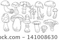 Vector mushroom nature and forest illustration design with autumn food background. Plant isolated fungi and vector organic colorful with art natural mushroom. Flat vector fantasy and fall forest 141008630