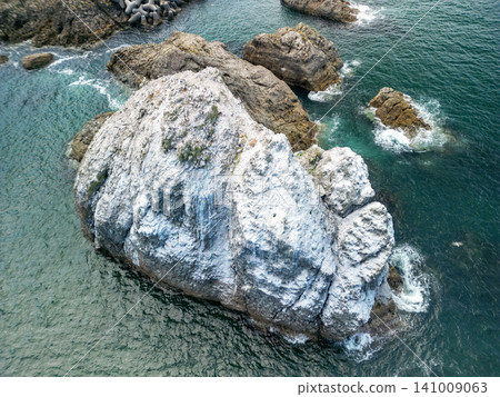Aerial photograph of Shiraiwa Rock on Tanesashi Coast, Sanriku Reconstruction National Park, Hachinohe City, Aomori Prefecture 141009063