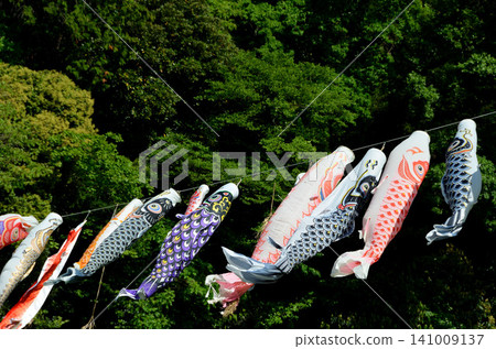 Swimming carp streamers, carp streamers Swimming carp streamers, carp streamers 141009137