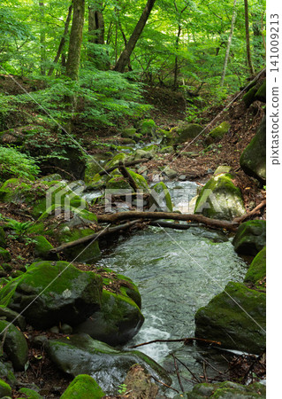 Azuma Valley hiking course 141009213