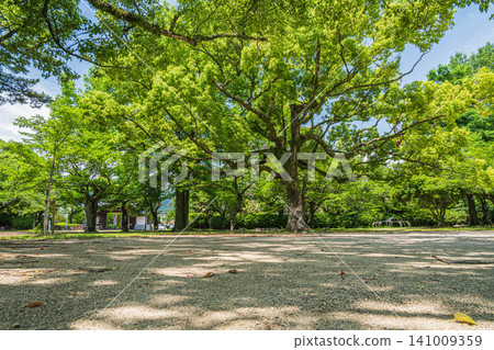 滋賀縣大津市瀨澤城跡公園 141009359