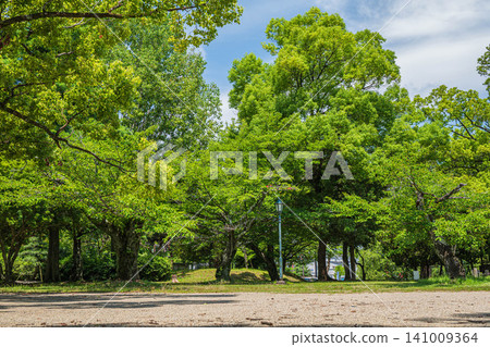 Zeze Castle Ruins Park, Otsu City, Shiga Prefecture Zeze Castle Ruins Park, Otsu City, Shiga Prefecture 141009364