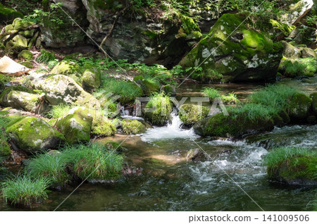 栃木縣那須，苔蘚覆蓋的岩石，清澈的溪流，陽光透過樹木灑下。 141009506