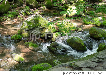 Moss-covered rocks, clear streams, and sunlight filtering through the trees in Nasu, Tochigi Prefecture. Moss-covered rocks, clear streams, and sunlight filtering through the trees in Nasu, Tochigi Prefecture. 141009523