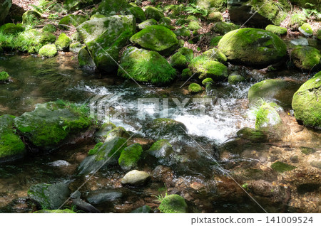 Moss-covered rocks, clear streams, and sunlight filtering through the trees in Nasu, Tochigi Prefecture. Moss-covered rocks, clear streams, and sunlight filtering through the trees in Nasu, Tochigi Prefecture. 141009524