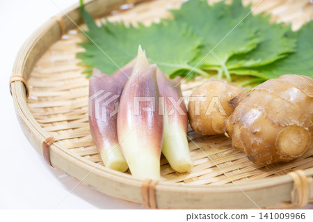 Summer condiments Summer condiments 141009966