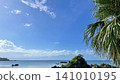 Palm trees and the beautiful blue sea of Okinawa, Onna Village 141010195
