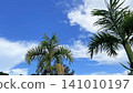 The blue Okinawan sky stretches out beyond the palm leaves in Onna Village. 141010197