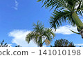 The blue Okinawan sky stretches out beyond the palm leaves in Onna Village. 141010198