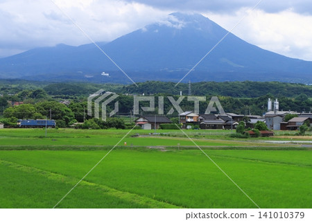 A freight train pulled by EF64-1049 powerfully speeds along the Hakubi Line with the majestic Mt. Daisen in the background. (Photographed on June 18, 2026) A freight train pulled by EF64-1049 powerfully speeds along the Hakubi Line with the majestic Mt. Daisen in the background. (Photographed on June 18, 2026) 141010379