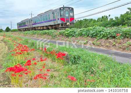 [San'in Main Line (Kiha 121 series diesel railcar)] Location: Akasaka, Daisen-cho, Saihaku-gun, Tottori Prefecture 141010758