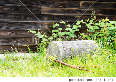 Grass and garden stones in front of the wooden wall Grass and garden stones in front of the wooden wall 141010774