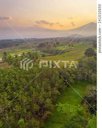 Beautiful panoramic aerial view of terraced rice fields at sunrise in Indonesia, surrounded by lush tropical greenery and palm trees. Beautiful panoramic aerial view of terraced rice fields at sunrise in Indonesia, surrounded by lush tropical greenery and palm trees. 141010850