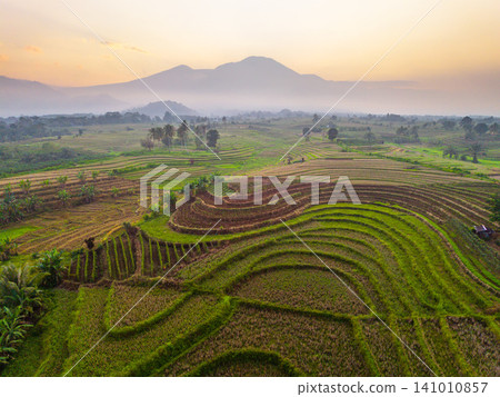 Beautiful panoramic aerial view of terraced rice fields at sunrise in Indonesia, surrounded by lush tropical greenery and palm trees. 141010857