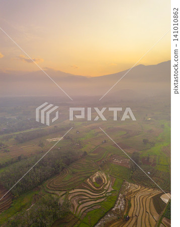 Beautiful panoramic aerial view of terraced rice fields at sunrise in Indonesia, surrounded by lush tropical greenery and palm trees. 141010862