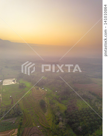 Beautiful panoramic aerial view of terraced rice fields at sunrise in Indonesia, surrounded by lush tropical greenery and palm trees. Beautiful panoramic aerial view of terraced rice fields at sunrise in Indonesia, surrounded by lush tropical greenery and palm trees. 141010864