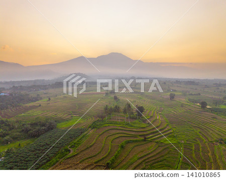 Beautiful panoramic aerial view of terraced rice fields at sunrise in Indonesia, surrounded by lush tropical greenery and palm trees. Beautiful panoramic aerial view of terraced rice fields at sunrise in Indonesia, surrounded by lush tropical greenery and palm trees. 141010865