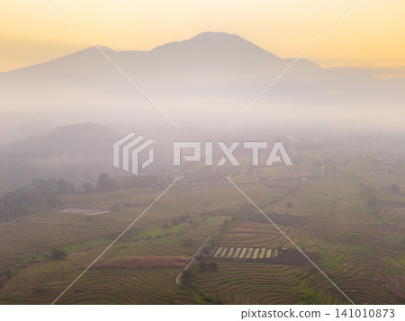 Beautiful panoramic aerial view of terraced rice fields at sunrise in Indonesia, surrounded by lush tropical greenery and palm trees. Beautiful panoramic aerial view of terraced rice fields at sunrise in Indonesia, surrounded by lush tropical greenery and palm trees. 141010873