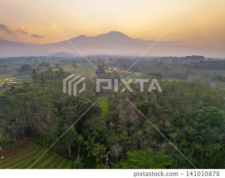 Beautiful panoramic aerial view of terraced rice fields at sunrise in Indonesia, surrounded by lush tropical greenery and palm trees. Beautiful panoramic aerial view of terraced rice fields at sunrise in Indonesia, surrounded by lush tropical greenery and palm trees. 141010878