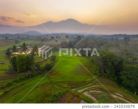 Beautiful panoramic aerial view of terraced rice fields at sunrise in Indonesia, surrounded by lush tropical greenery and palm trees. Beautiful panoramic aerial view of terraced rice fields at sunrise in Indonesia, surrounded by lush tropical greenery and palm trees. 141010879