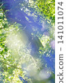 A green forest with sunlight filtering through the trees and lens flare. 141011074