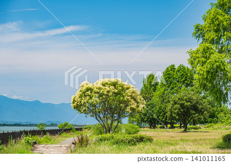 Lake Biwa, Yabashi Kihojima Lakeside Green Space, Kusatsu City, Shiga Prefecture Lake Biwa, Yabashi Kihojima Lakeside Green Space, Kusatsu City, Shiga Prefecture 141011165