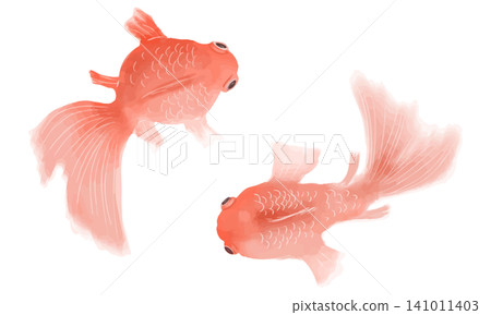 水彩金魚 141011403