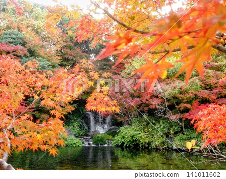 風景與秋天的落葉 風景與秋天的落葉 141011602