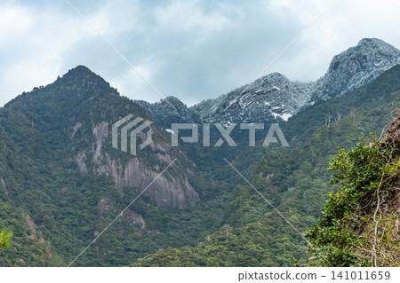 Yakushima, a World Natural Heritage Site: Mountains along the Western Forest Road (Winter) Yakushima, a World Natural Heritage Site: Mountains along the Western Forest Road (Winter) 141011659