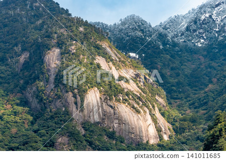 世界自然遺產屋久島冬季的花崗岩山坡。 世界自然遺產屋久島冬季的花崗岩山坡。 141011685