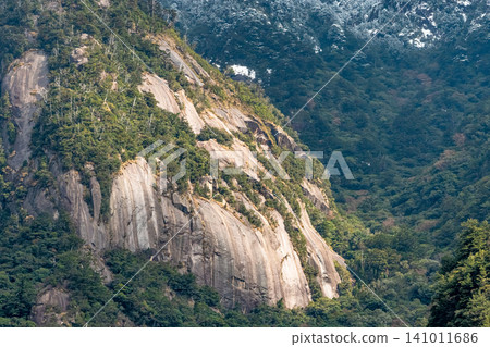 世界自然遺產屋久島冬季的花崗岩山坡。 世界自然遺產屋久島冬季的花崗岩山坡。 141011686