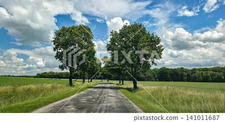 Scenic country road lined with green trees leading through vibrant summer fields under a cloudy sky. Concept of travel, future path, way forward, life journey, freedom, and summer road trip. 141011687