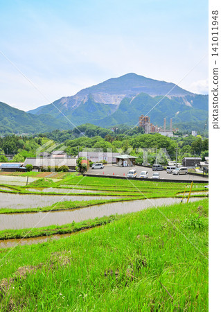 武高山和寺坂梯田：水稻種植季節的鬱鬱蔥蔥綠色景觀。 141011948
