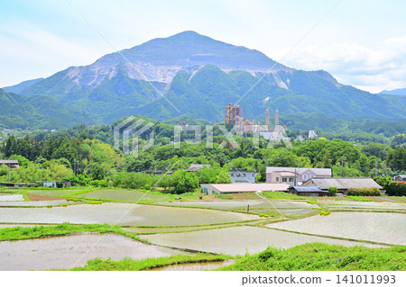 武高山和寺坂梯田:水稻種植季節的鬱鬱蔥蔥綠色景觀。 武高山和寺坂梯田:水稻種植季節的鬱鬱蔥蔥綠色景觀。 141011993