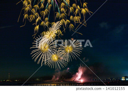 Fireworks open in the night sky 141012155