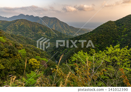Spring in Yakushima: The mountain slopes are adorned with vibrant new green leaves. Spring in Yakushima: The mountain slopes are adorned with vibrant new green leaves. 141012390