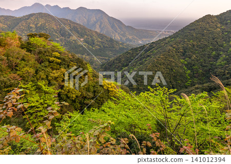 屋久島的春天:山坡上綠意盎然,生氣勃勃。 屋久島的春天:山坡上綠意盎然,生氣勃勃。 141012394